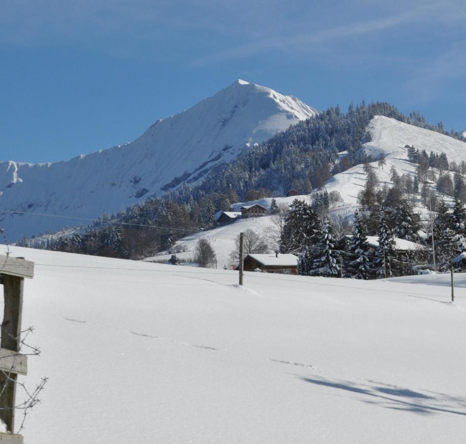 Ruhe Pur Apartment Aeschi Bei Spiez