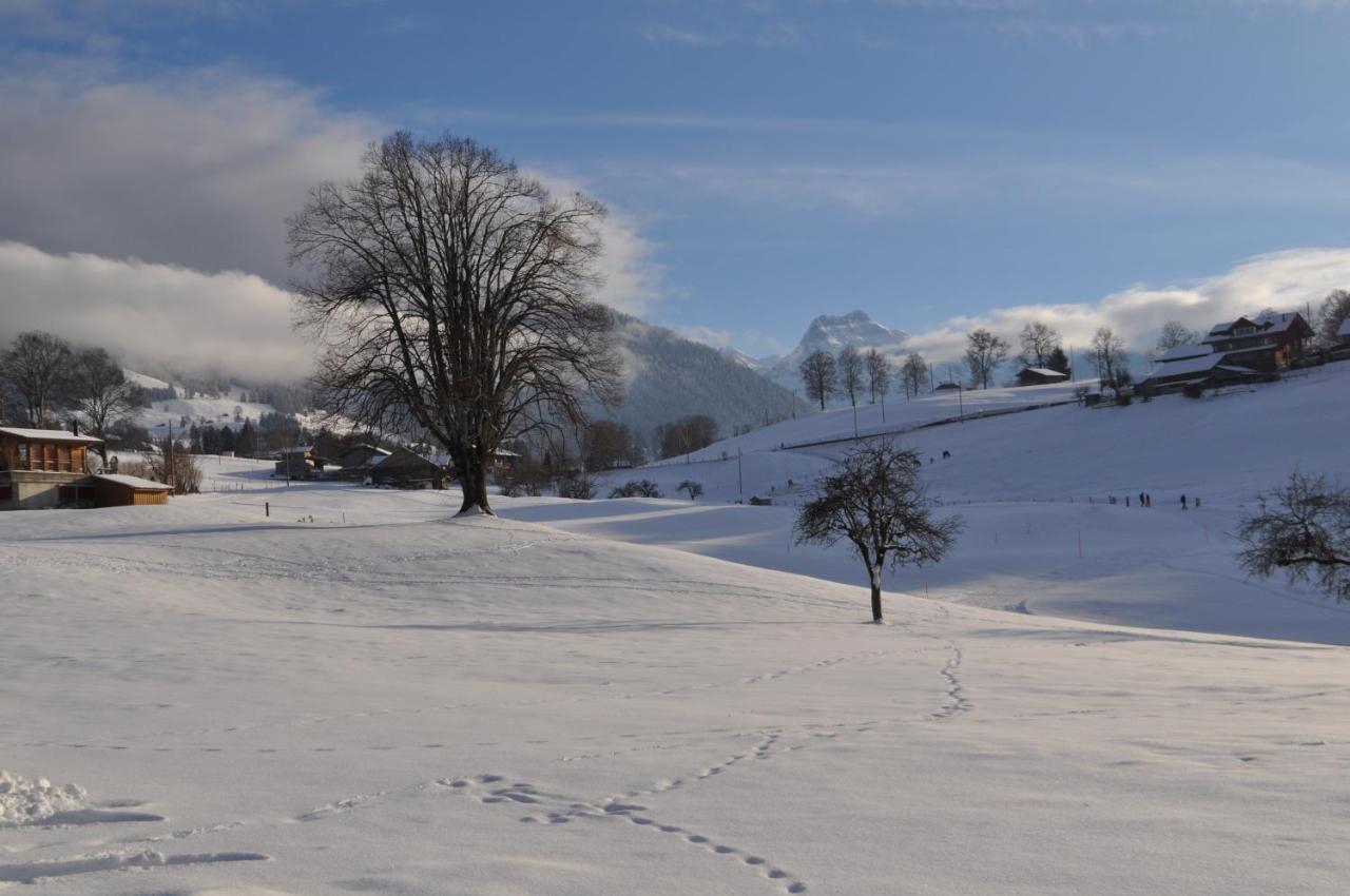 Ruhe Pur * Aeschi Bei Spiez